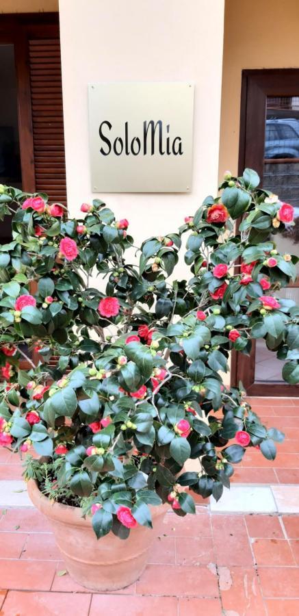 Готель Solomia Panzano in Chianti Екстер'єр фото