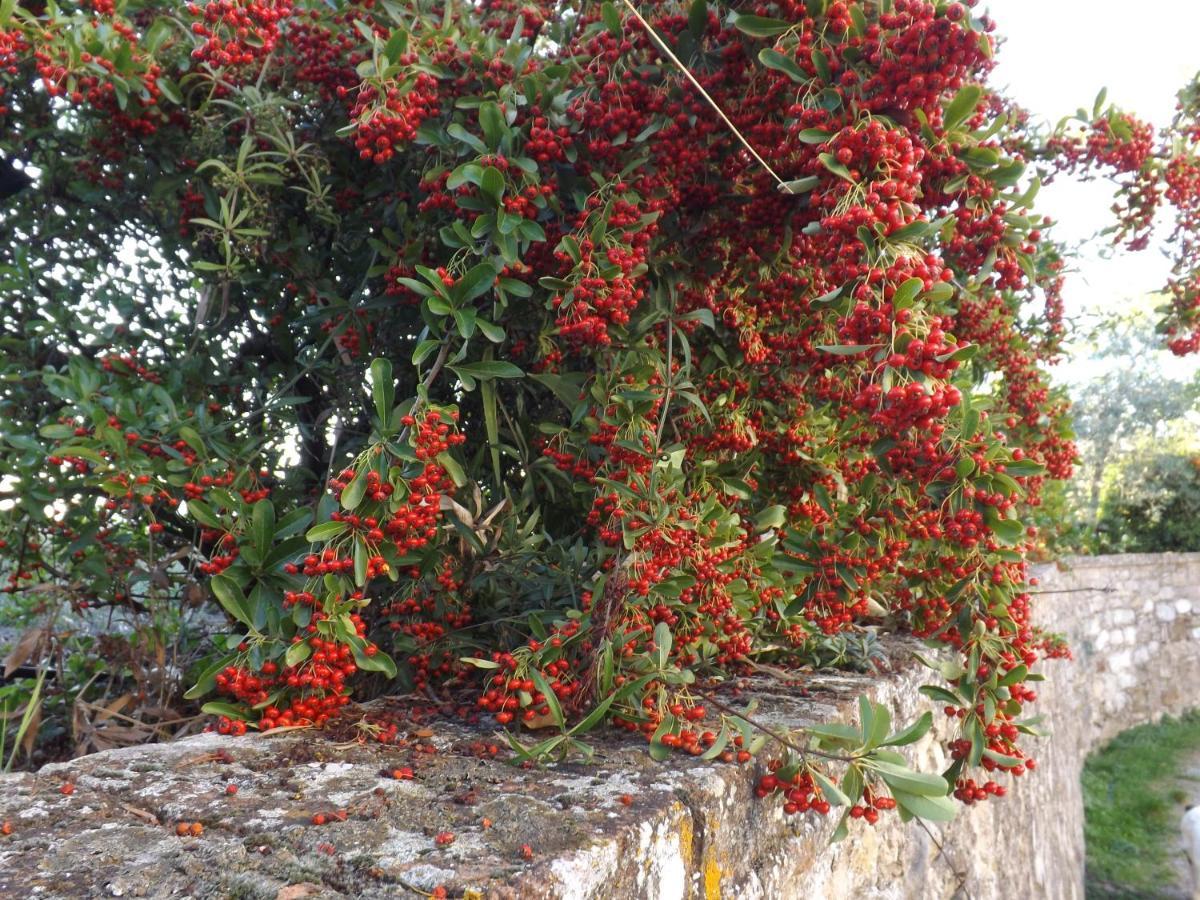 Готель Solomia Panzano in Chianti Екстер'єр фото